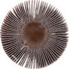 Flap Wheel, 339, 60 x 30mm, P60, Aluminium Oxide thumbnail-1