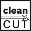 T301 CD Clean for Wood Jigsaw Blades - PQ-5 thumbnail-3