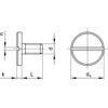 M3x8 SLOTTED PAN HEAD SCREW LARGE HEAD A2 thumbnail-2