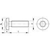 M5x22 TORX RSD CHEESE HEAD SCREW A4 thumbnail-2