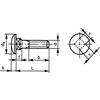 M10x40 CARRIAGE BOLT BZP (GR-8.8) thumbnail-2