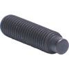 M12x30 SKT SET SCREW - DOG POINT (GR-45H) (14.9)  thumbnail-3