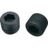 R1/8 SKT PIPE PLUG DIN906(BSPT) THREAD thumbnail-3