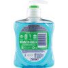 Antibacterial Hand Wash, 250ml thumbnail-1