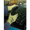 S-Tex, Cut Resistant Gloves, Black/Yellow, EN388: 2016, 3, X, 4, 4, F, Latex Palm, Polyester, Size 8 thumbnail-4