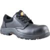 Tiger Unisex Composite Safety Shoes, Size 5, Black, Leather Upper, Composite Toe Cap, S3, EN ISO 20345:2011 thumbnail-0