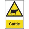 CATTLE - PVC (200 X 300MM) thumbnail-0