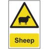 SHEEP - PVC (200 X 300MM) thumbnail-0