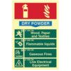 FIRE EXTINGUISHER COMPOSITE -DRYPOWDER - PHS (200 X 300MM) thumbnail-0