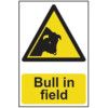 BULL IN FIELD - COREX (200X300MM) thumbnail-0