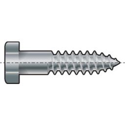 Hexagon Head Wood Screw -ST (Self Tapping) - Steel - BZP (Bright Zinc Plated) - DIN 571 thumbnail-0