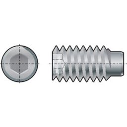 Socket Set Screw, Metric - A4 Stainless - Grade 70 - Dog Point - DIN 915 thumbnail-1