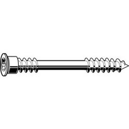 Woodscrew, ST (self Tapping) - A4 Stainless - Terrace Screw With Cylindrical Head thumbnail-0