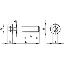 Socket Head Cap Screw, Metric - Steel - A4 Stainless - with Pilot Recess - DIN 6912 thumbnail-1