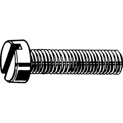 M4x30 SLOTTED CHEESE HEAD SCREW NYLON PA (GR-6.6)