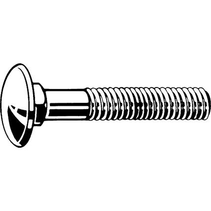 M6x50 CARRIAGE BOLT A2