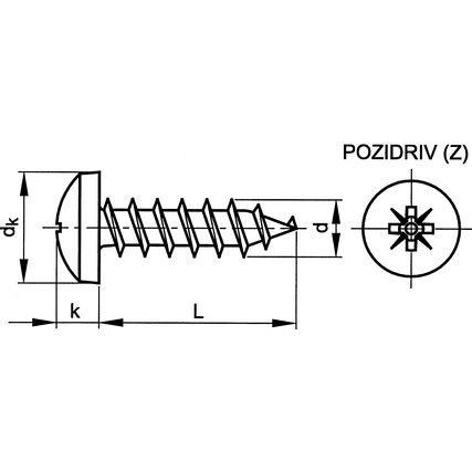 6x60mm POZI RSD CHEESE HEAD CHIPBOARD SCREW A2  (BX-100)