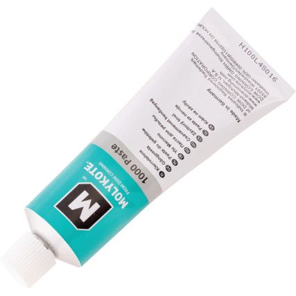 1000, Anti-Seize Lubricant Paste, Tube, 100g