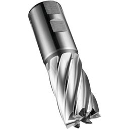 Series C247 HSS-E Multi Flute Flatted Shank End Mill - Inch  thumbnail-1