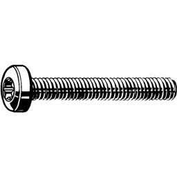 Machine Screw, Metric - Steel - BZP (Bright Zinc Plated) - Grade 8.8 - TX Raised Cheese Head Screw - ISO 14583 thumbnail-0