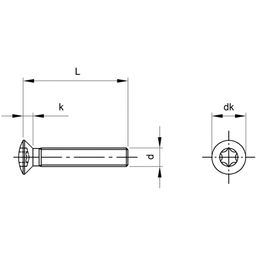 Machine Screw, Metric - A4 Stainless - Torx Raised Countersunk Head Screw - DIN 966 thumbnail-1