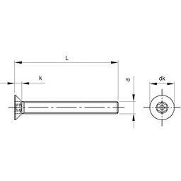 Security Screw, Metric - A2 Stainless - CSK-Screw TX Pin in Head  DIN 912 thumbnail-1