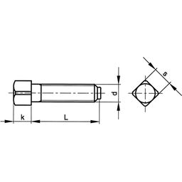 Square Head Bolt, Metric - Steel - Grade 8.8 - Dog Point - DIN 479 thumbnail-1