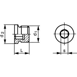 Pipe Socket Plugs, Metric - Fine - Parallel - Din 906 thumbnail-2