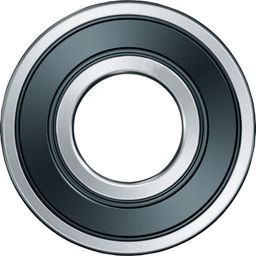 Single Row Deep Groove Ball Bearings - with Seals (EE Type) thumbnail-0