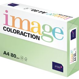 Coloraction Coloured Copier Paper thumbnail-0